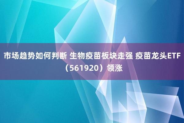 市场趋势如何判断 生物疫苗板块走强 疫苗龙头ETF（561920）领涨