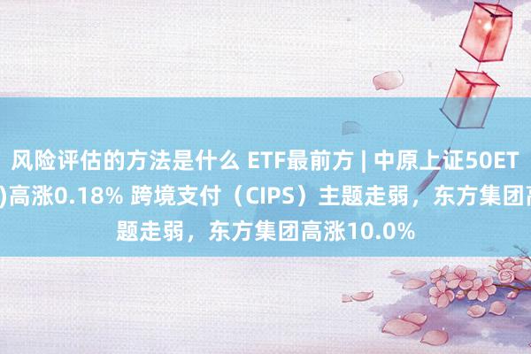 风险评估的方法是什么 ETF最前方 | 中原上证50ETF(510050)高涨0.18% 跨境支付（CIPS）主题走弱，东方集团高涨10.0%