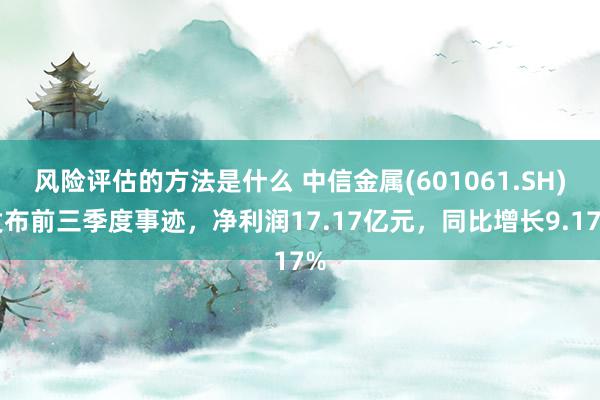 风险评估的方法是什么 中信金属(601061.SH)发布前三季度事迹，净利润17.17亿元，同比增长9.17%