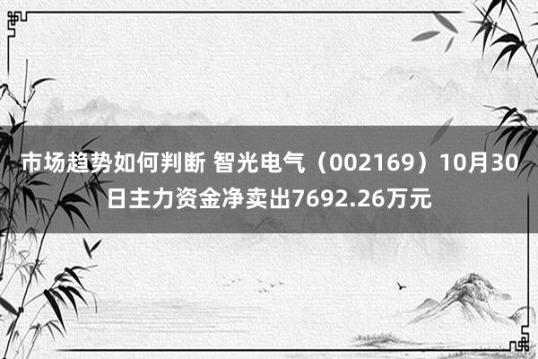 市场趋势如何判断 智光电气（002169）10月30日主力资金净卖出7692.26万元