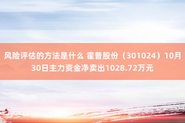 风险评估的方法是什么 霍普股份（301024）10月30日主力资金净卖出1028.72万元