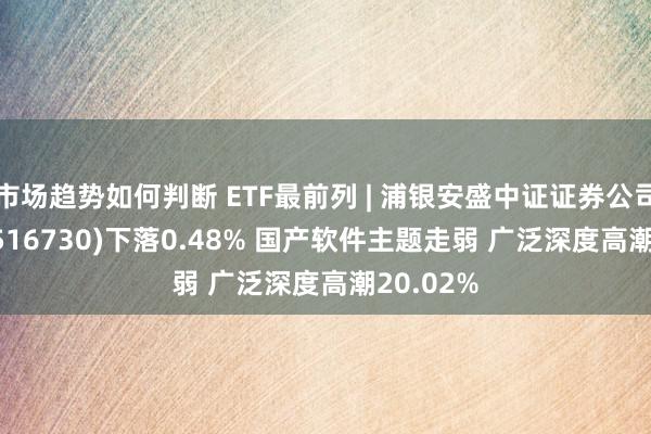 市场趋势如何判断 ETF最前列 | 浦银安盛中证证券公司30ETF(516730)下落0.48% 国产软件主题走弱 广泛深度高潮20.02%