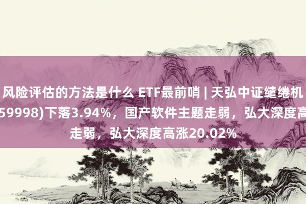 风险评估的方法是什么 ETF最前哨 | 天弘中证缱绻机主题ETF(159998)下落3.94%，国产软件主题走弱，弘大深度高涨20.02%