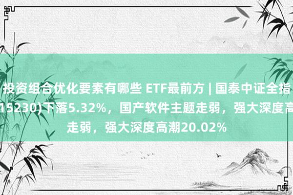 投资组合优化要素有哪些 ETF最前方 | 国泰中证全指软件ETF(515230)下落5.32%，国产软件主题走弱，强大深度高潮20.02%