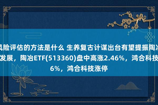 风险评估的方法是什么 生养复古计谋出台有望提振陶冶行业发展，陶冶ETF(513360)盘中高涨2.46%，鸿合科技涨停