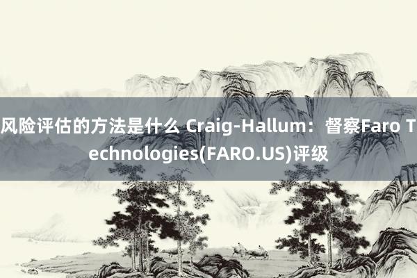 风险评估的方法是什么 Craig-Hallum：督察Faro Technologies(FARO.US)评级