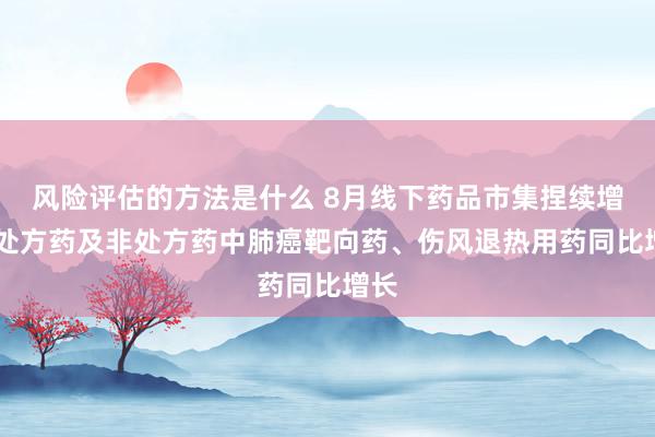 风险评估的方法是什么 8月线下药品市集捏续增长 处方药及非处方药中肺癌靶向药、伤风退热用药同比增长