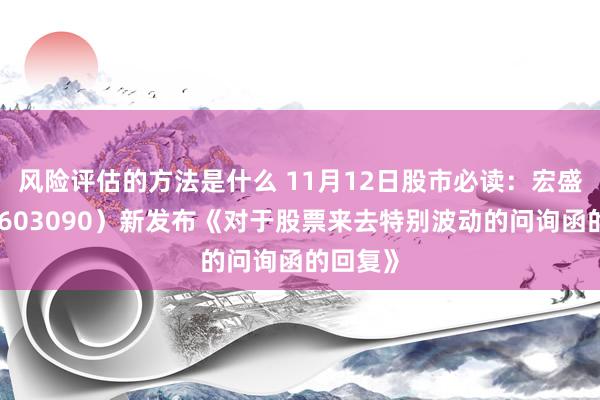 风险评估的方法是什么 11月12日股市必读：宏盛股份（603090）新发布《对于股票来去特别波动的问询函的回复》