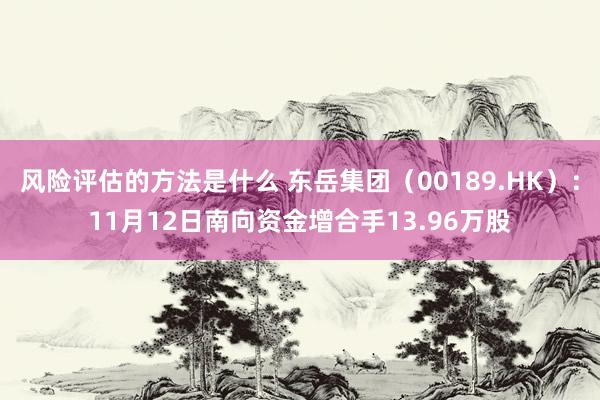 风险评估的方法是什么 东岳集团（00189.HK）：11月12日南向资金增合手13.96万股