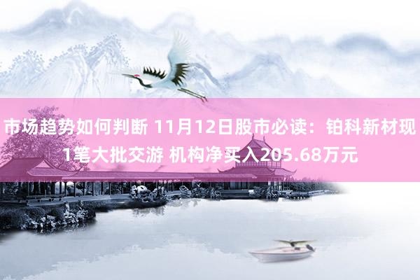 市场趋势如何判断 11月12日股市必读：铂科新材现1笔大批交游 机构净买入205.68万元