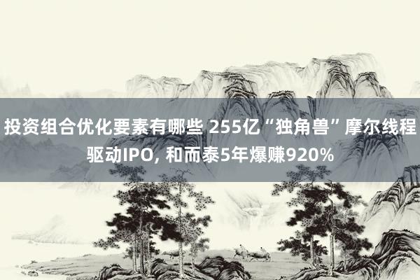 投资组合优化要素有哪些 255亿“独角兽”摩尔线程驱动IPO, 和而泰5年爆赚920%