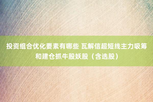 投资组合优化要素有哪些 瓦解信超短线主力吸筹和建仓抓牛股妖股（含选股）