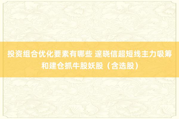 投资组合优化要素有哪些 邃晓信超短线主力吸筹和建仓抓牛股妖股（含选股）