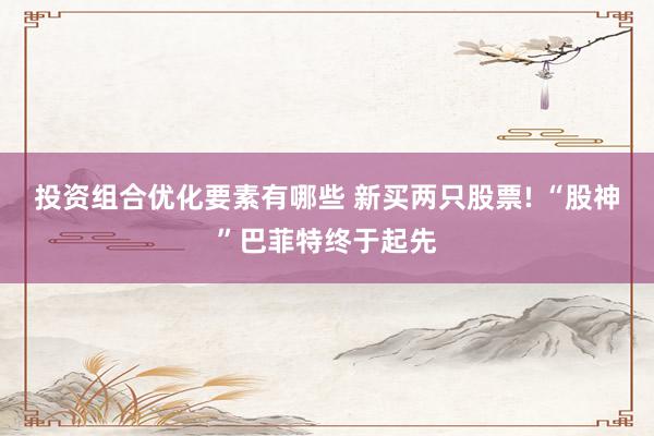 投资组合优化要素有哪些 新买两只股票! “股神”巴菲特终于起先