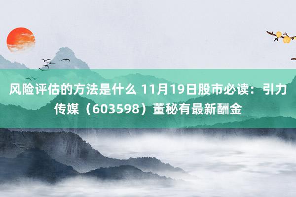 风险评估的方法是什么 11月19日股市必读：引力传媒（603598）董秘有最新酬金