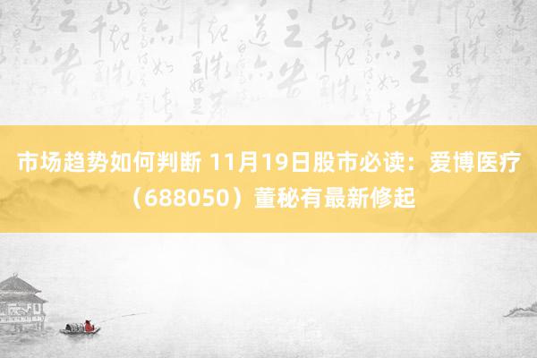 市场趋势如何判断 11月19日股市必读：爱博医疗（688050）董秘有最新修起