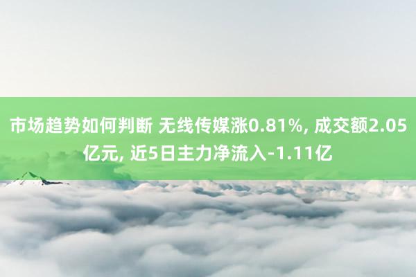 市场趋势如何判断 无线传媒涨0.81%, 成交额2.05亿元, 近5日主力净流入-1.11亿