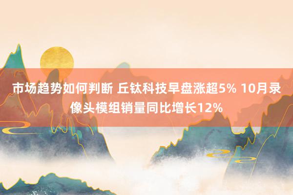 市场趋势如何判断 丘钛科技早盘涨超5% 10月录像头模组销量同比增长12%