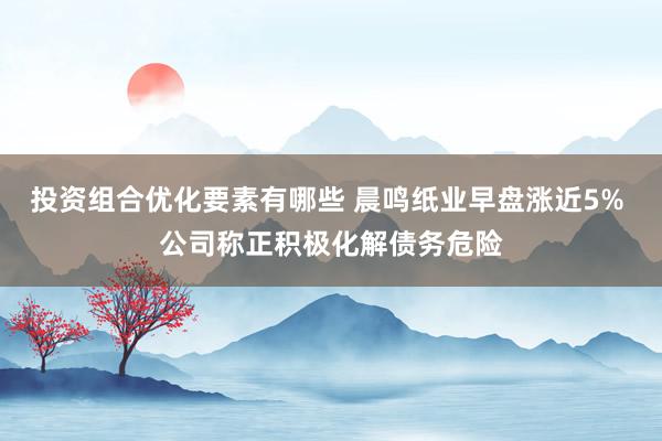 投资组合优化要素有哪些 晨鸣纸业早盘涨近5% 公司称正积极化解债务危险