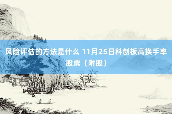 风险评估的方法是什么 11月25日科创板高换手率股票（附股）