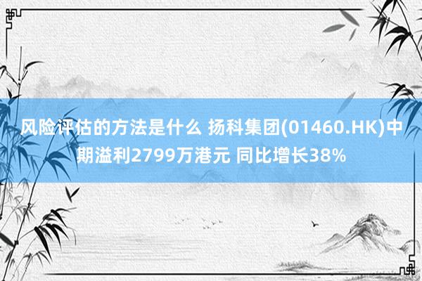 风险评估的方法是什么 扬科集团(01460.HK)中期溢利2799万港元 同比增长38%