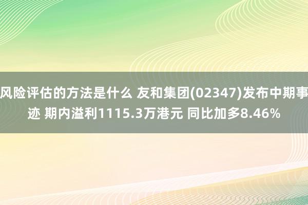 风险评估的方法是什么 友和集团(02347)发布中期事迹 期内溢利1115.3万港元 同比加多8.46%