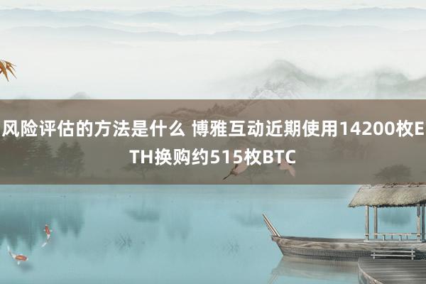 风险评估的方法是什么 博雅互动近期使用14200枚ETH换购约515枚BTC