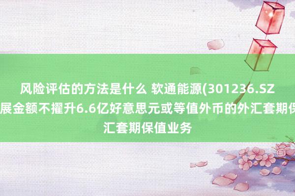 风险评估的方法是什么 软通能源(301236.SZ)：拟开展金额不擢升6.6亿好意思元或等值外币的外汇套期保值业务