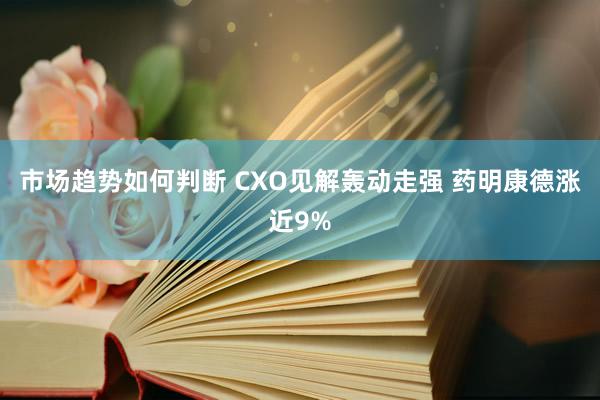 市场趋势如何判断 CXO见解轰动走强 药明康德涨近9%