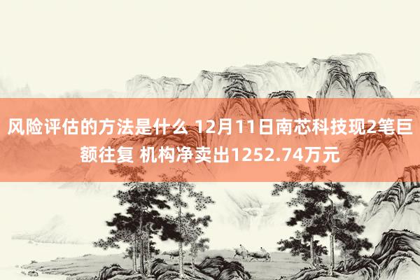 风险评估的方法是什么 12月11日南芯科技现2笔巨额往复 机构净卖出1252.74万元