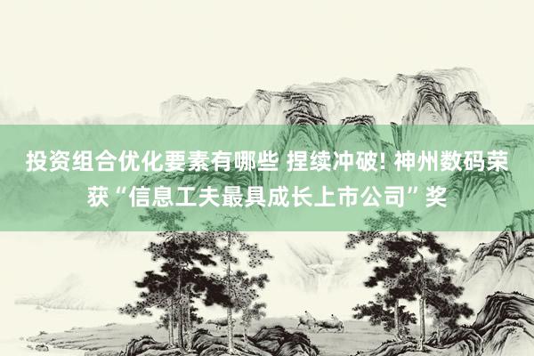 投资组合优化要素有哪些 捏续冲破! 神州数码荣获“信息工夫最具成长上市公司”奖