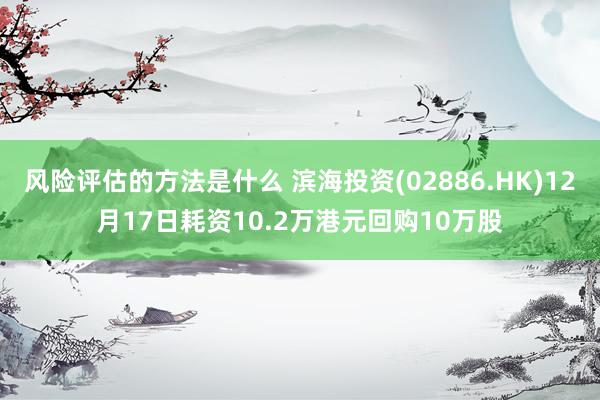 风险评估的方法是什么 滨海投资(02886.HK)12月17日耗资10.2万港元回购10万股