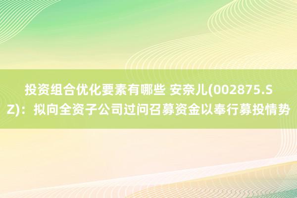 投资组合优化要素有哪些 安奈儿(002875.SZ)：拟向全资子公司过问召募资金以奉行募投情势