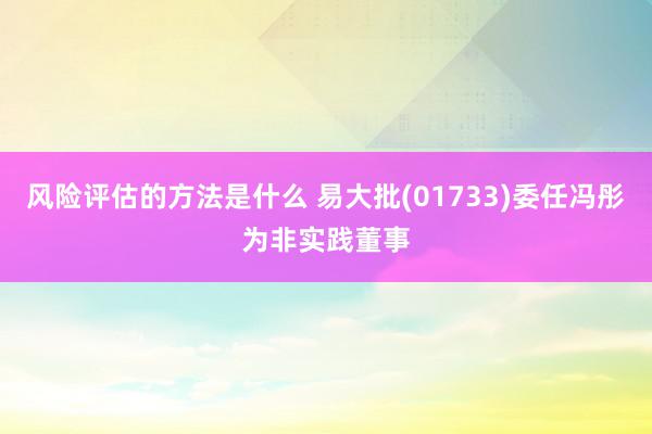 风险评估的方法是什么 易大批(01733)委任冯彤为非实践董事