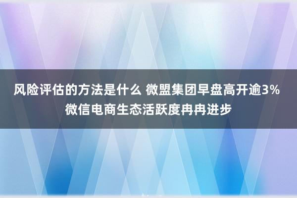 风险评估的方法是什么 微盟集团早盘高开逾3% 微信电商生态活跃度冉冉进步