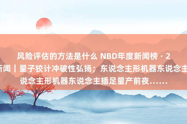 风险评估的方法是什么 NBD年度新闻榜 · 2024群众科技十大新闻｜量子狡计冲破性弘扬；东说念主形机器东说念主插足量产前夜……