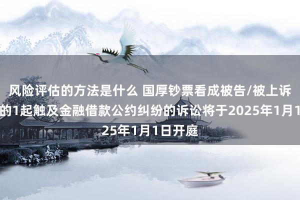 风险评估的方法是什么 国厚钞票看成被告/被上诉东谈主的1起触及金融借款公约纠纷的诉讼将于2025年1月1日开庭