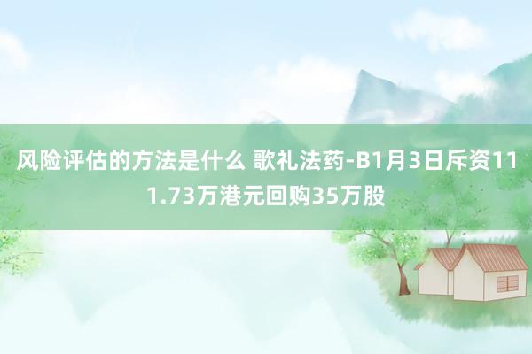 风险评估的方法是什么 歌礼法药-B1月3日斥资111.73万港元回购35万股