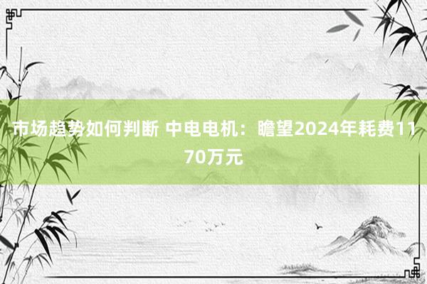 市场趋势如何判断 中电电机：瞻望2024年耗费1170万元