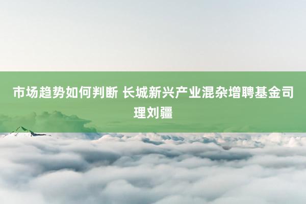 市场趋势如何判断 长城新兴产业混杂增聘基金司理刘疆