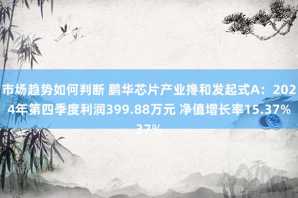 市场趋势如何判断 鹏华芯片产业搀和发起式A：2024年第四季度利润399.88万元 净值增长率15.37%