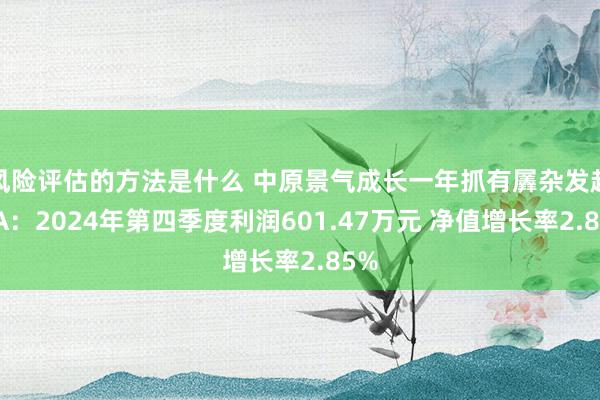 风险评估的方法是什么 中原景气成长一年抓有羼杂发起式A：2024年第四季度利润601.47万元 净值增长率2.85%