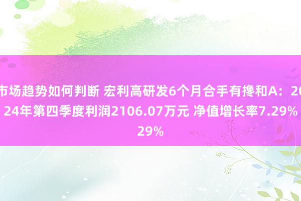 市场趋势如何判断 宏利高研发6个月合手有搀和A：2024年第四季度利润2106.07万元 净值增长率7.29%