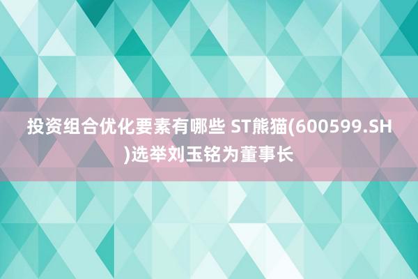 投资组合优化要素有哪些 ST熊猫(600599.SH)选举刘玉铭为董事长