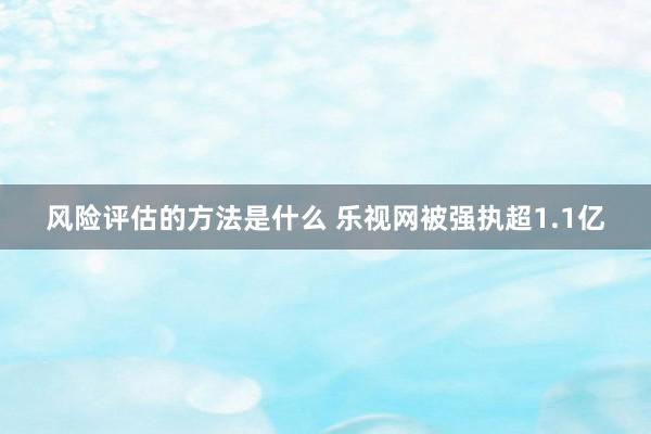 风险评估的方法是什么 乐视网被强执超1.1亿