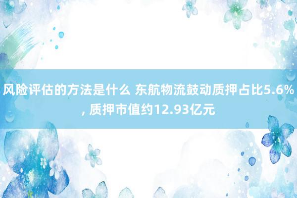 风险评估的方法是什么 东航物流鼓动质押占比5.6%, 质押市值约12.93亿元