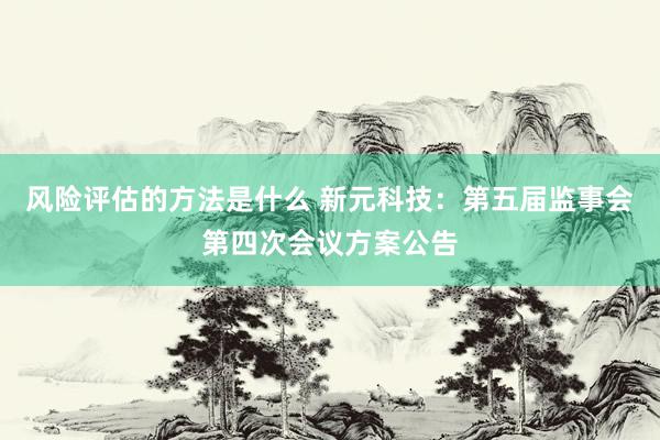 风险评估的方法是什么 新元科技：第五届监事会第四次会议方案公告