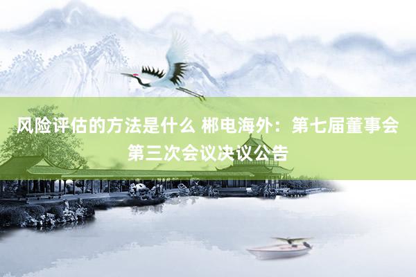 风险评估的方法是什么 郴电海外：第七届董事会第三次会议决议公告