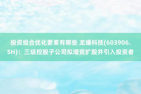 投资组合优化要素有哪些 龙蟠科技(603906.SH)：三级控股子公司拟增资扩股并引入投资者