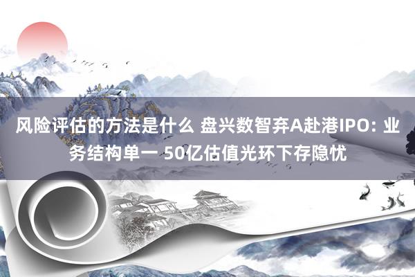 风险评估的方法是什么 盘兴数智弃A赴港IPO: 业务结构单一 50亿估值光环下存隐忧